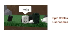 Epic Roblox Usernames