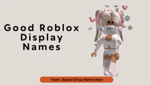 Good Roblox Display Names